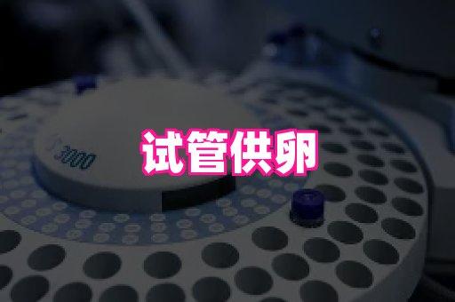 幸孕 1